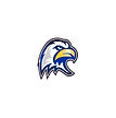 Spring Mills High School Football