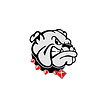 Spring Mills High School Football